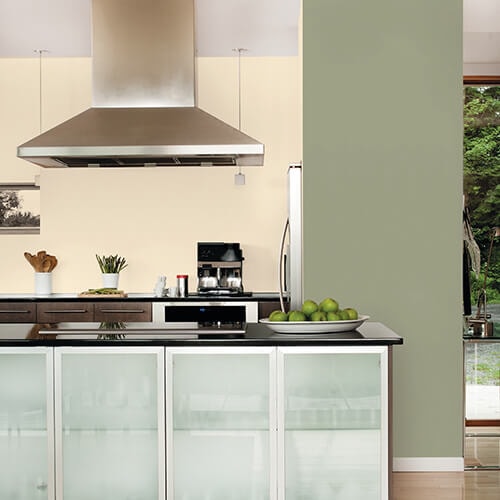 Kitchen Paint Colour Combinations